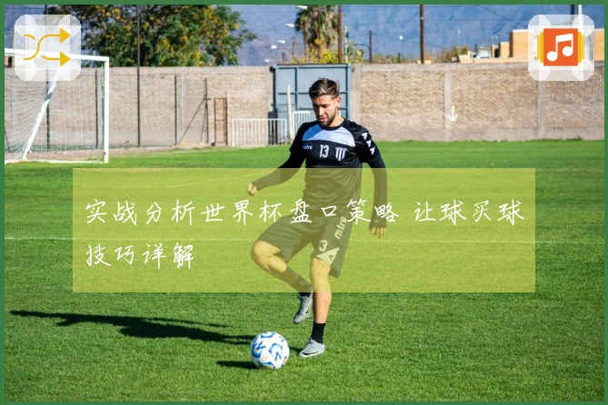 实战分析世界杯盘口策略 让球买球技巧详解