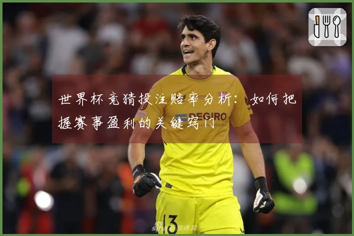 世界杯竞猜投注赔率分析：如何把握赛事盈利的关键窍门