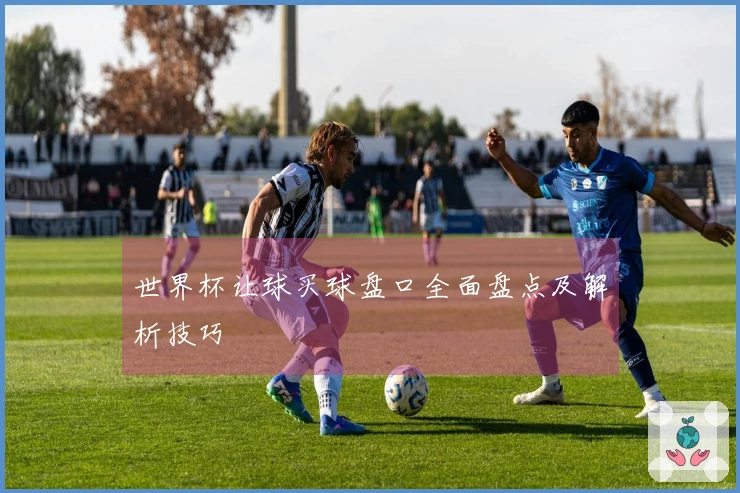 世界杯让球买球盘口全面盘点及解析技巧