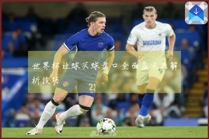世界杯让球买球盘口全面盘点及解析技巧