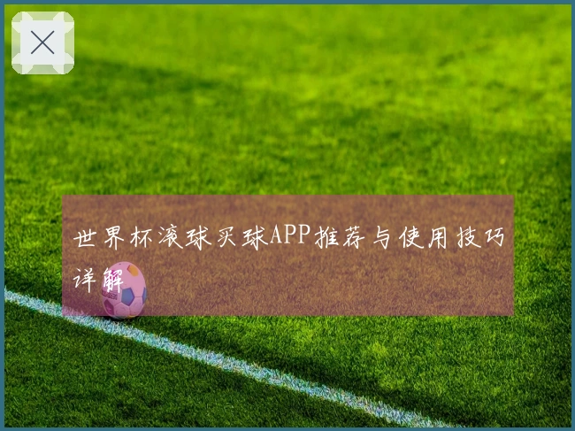 世界杯滚球买球APP推荐与使用技巧详解
