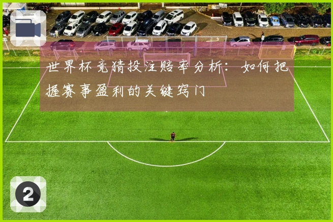 世界杯竞猜投注赔率分析：如何把握赛事盈利的关键窍门