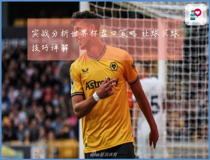 实战分析世界杯盘口策略 让球买球技巧详解