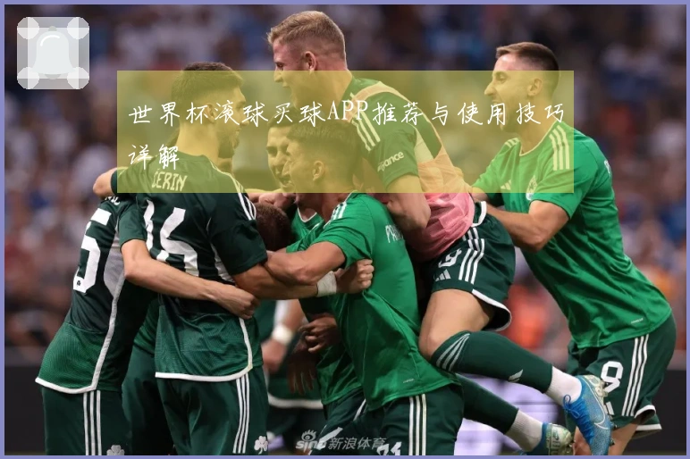 世界杯滚球买球APP推荐与使用技巧详解