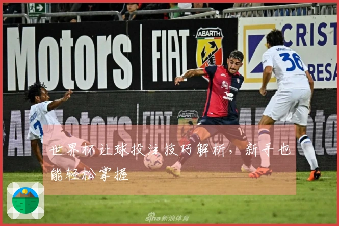 世界杯让球投注技巧解析，新手也能轻松掌握