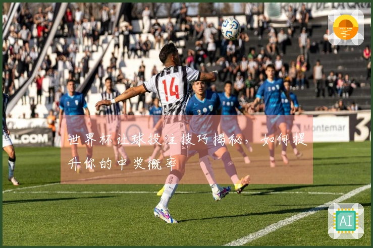 世界杯让球投注技巧揭秘，如何提升你的中奖概率